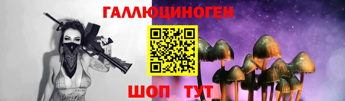 Кудымкар  Псилоцибиновые грибы прущие грибы  купить закладку  Псилоцибиновые грибы Cubensis  Вход с VPN 